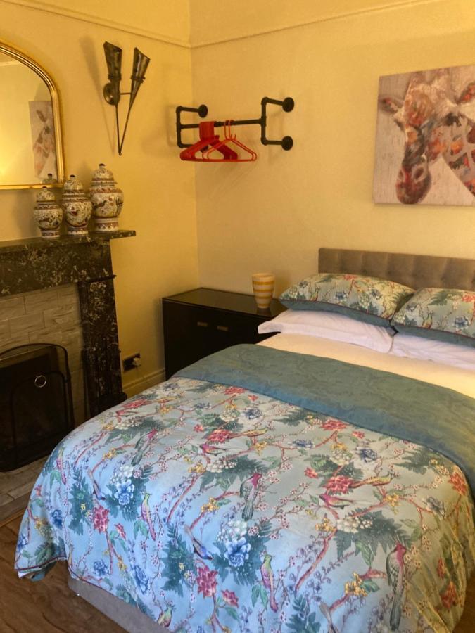 Mountroyal Victorian Studio Self Catering Apartment 3 Белфаст Екстериор снимка