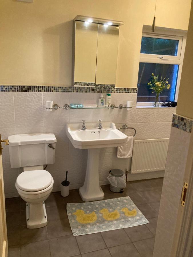 Mountroyal Victorian Studio Self Catering Apartment 3 Белфаст Екстериор снимка