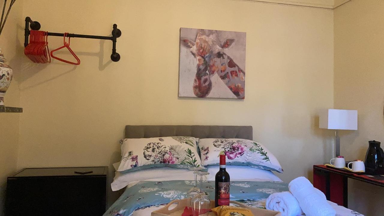 Mountroyal Victorian Studio Self Catering Apartment 3 Белфаст Екстериор снимка
