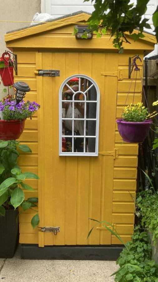 Mountroyal Victorian Studio Self Catering Apartment 3 Белфаст Екстериор снимка