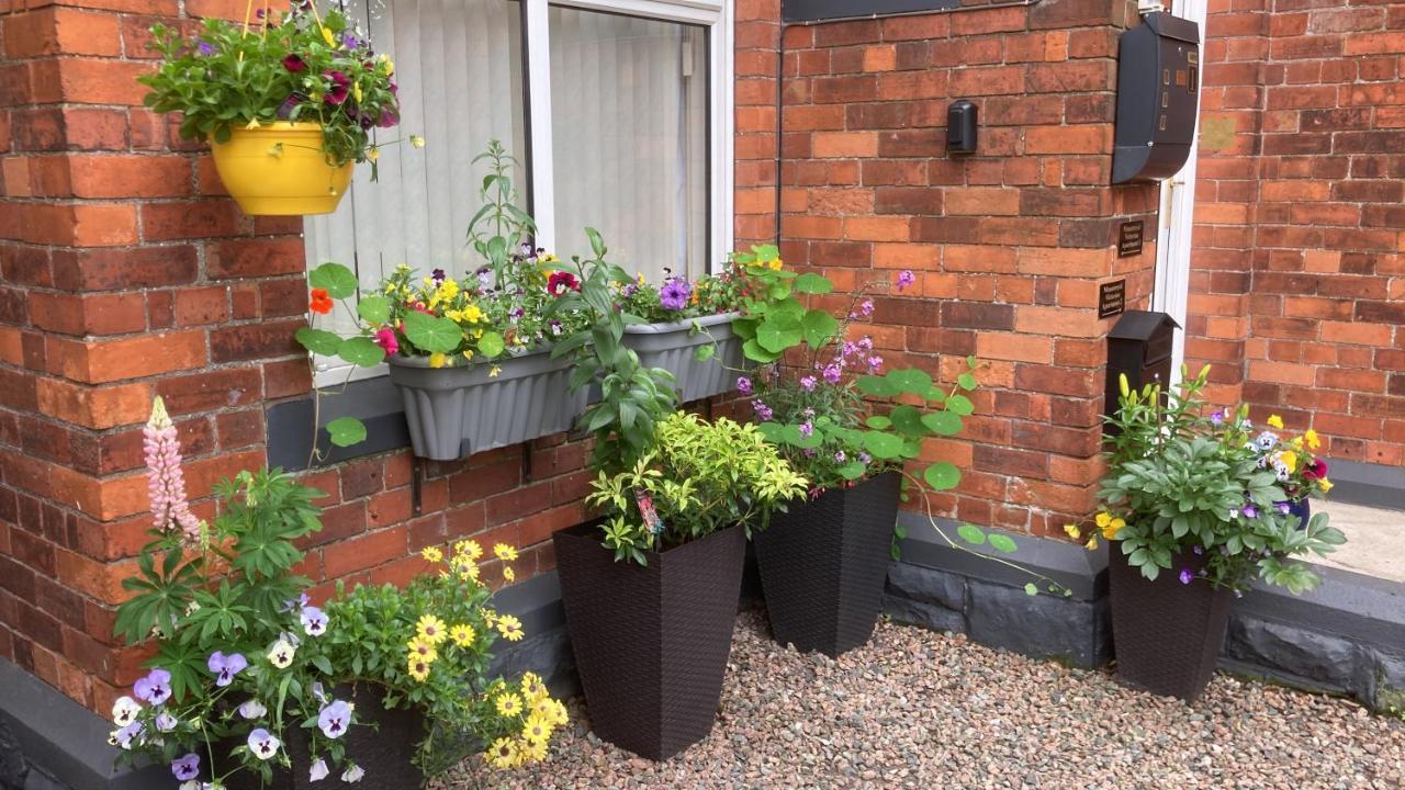 Mountroyal Victorian Studio Self Catering Apartment 3 Белфаст Екстериор снимка