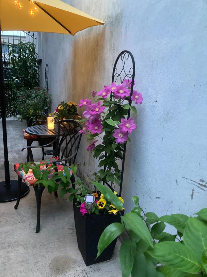 Mountroyal Victorian Studio Self Catering Apartment 3 Белфаст Екстериор снимка